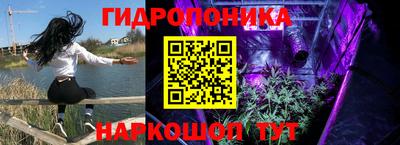 таблы Славгород