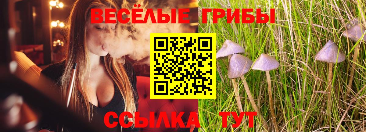 Псилоцибиновые грибы GOLDEN TEACHER Ангарск